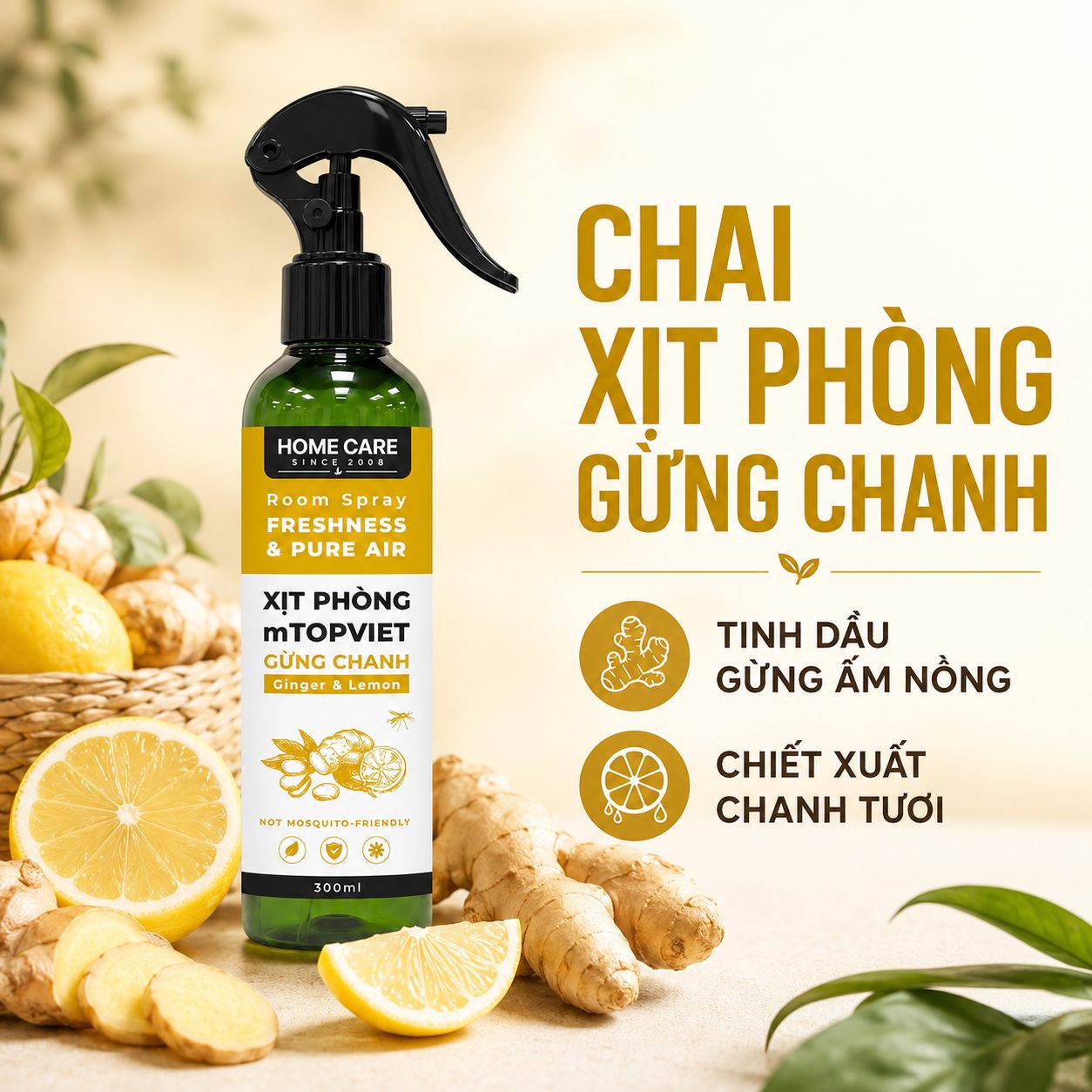 xit-phong-gung-chanh