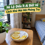 Hé Lộ Điều Ít Ai Biết Về Cách Khử Mùi Hôi Phòng Trọ