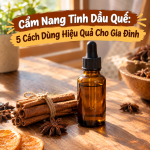 Cẩm Nang Tinh Dầu Quế: 5 Cách Dùng Hiệu Quả Cho Gia Đình